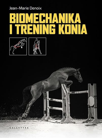 Biomechanika i trening konia Denoix Jean-Marie