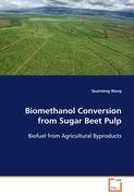 Biomethanol Conversion from Sugar Beet Pulp Wang Quanzeng