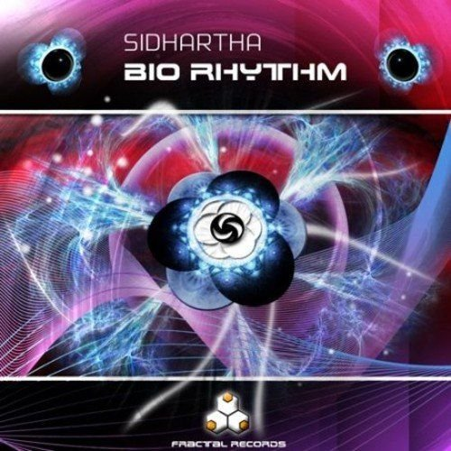 Biorhythm Various Artists