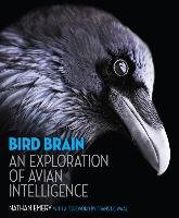 Bird Brain: An Exploration of Avian Intelligence Emery Nathan