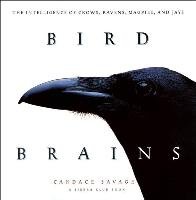 Bird Brains Savage Candace
