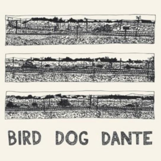 Bird Dog Dante, płyta winylowa Parish John