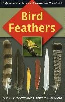 Bird Feathers Scott David S., Mcfarland Casey