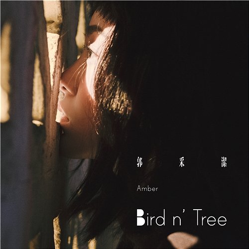Bird n' Tree Amber Kuo