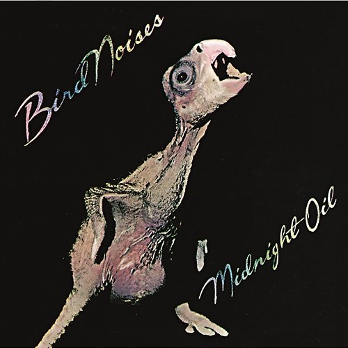 Bird Noises Midnight Oil