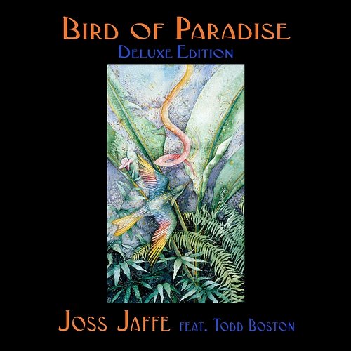 Bird of Paradise Joss Jaffe feat. Todd Boston