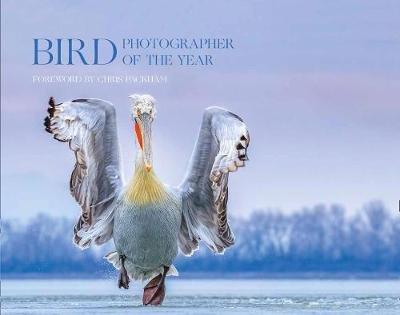 Bird Photographer of the Year: Collection 4 Opracowanie zbiorowe