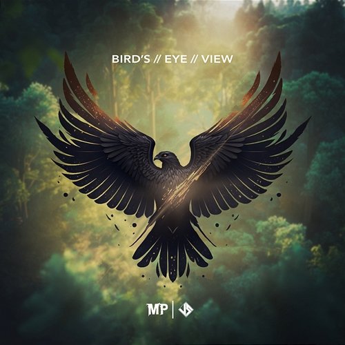 Bird's Eye View Matthew Parker, Jacob Stanifer
