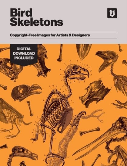 Bird Skeletons: Copyright-Free Images for Artists & Designers Kale James