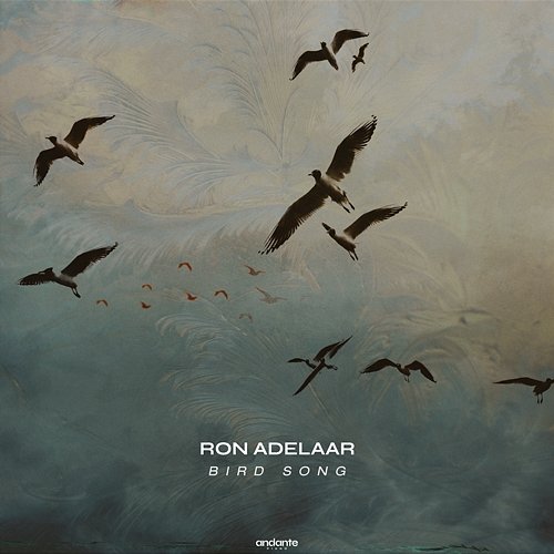 Bird Song Ron Adelaar