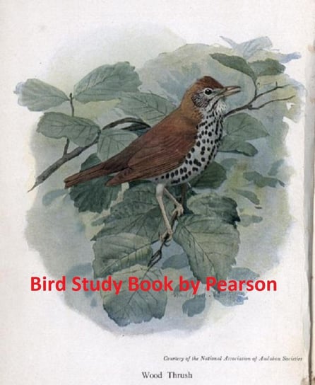 Bird Study Book T. Gilbert Pearson