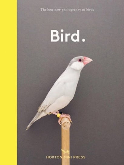 Bird.: The best new photography of birds Opracowanie zbiorowe