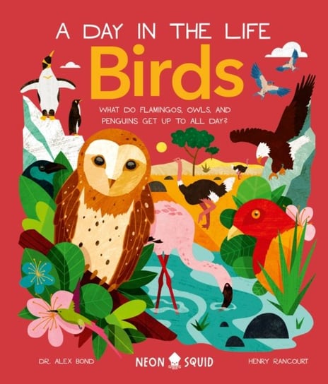 Birds (A Day in the Life): What Do Flamingos, Owls, and Penguins Get Up To All Day? St. Martin's Publishing Group