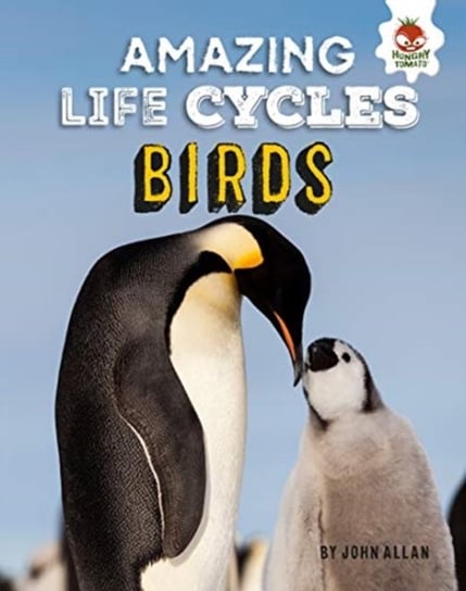 Birds - Amazing Life Cycles John Allan