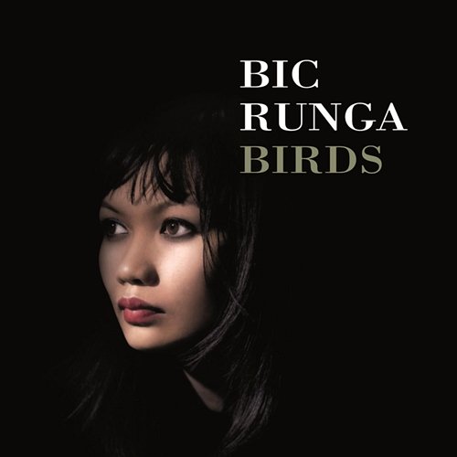 Birds Bic Runga