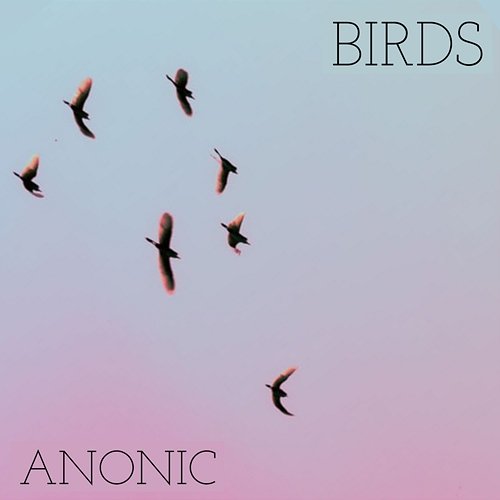 Birds Anonic