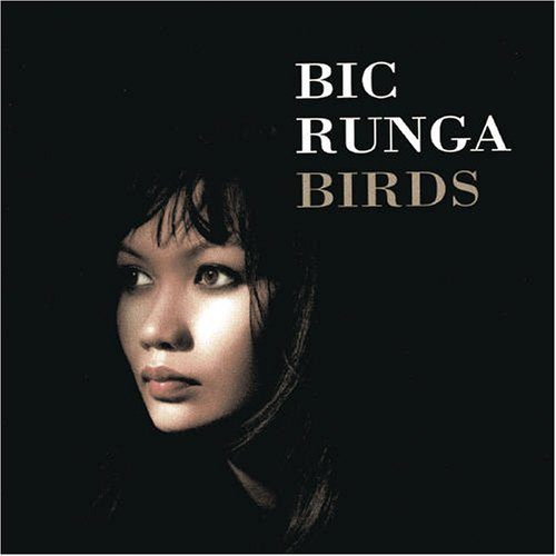 Birds Bic Runga