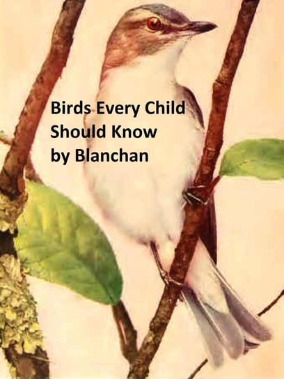 Birds Every Child Should Know Neltje Blanchan