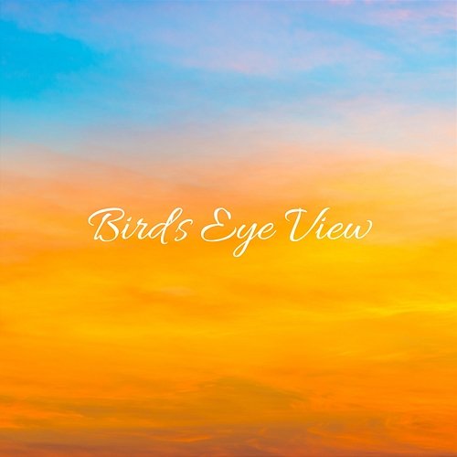 Birds Eye View Christian Envy