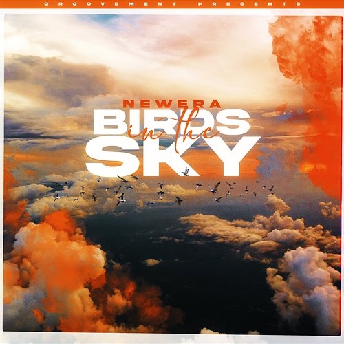 Birds In The Sky NewEra & James Doyle