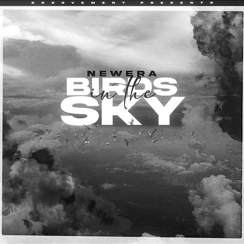 Birds In The Sky NewEra & Allie Sherlock
