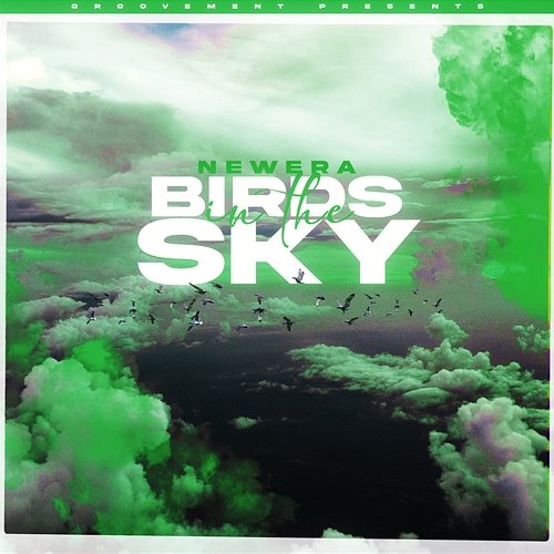 Birds In The Sky NewEra & Sam Green