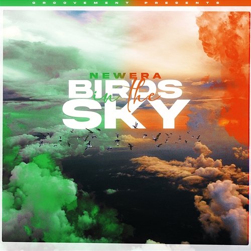 Birds In The Sky Newera