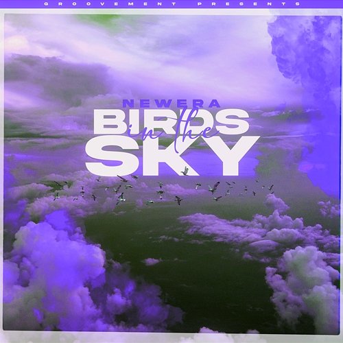 Birds In The Sky Newera