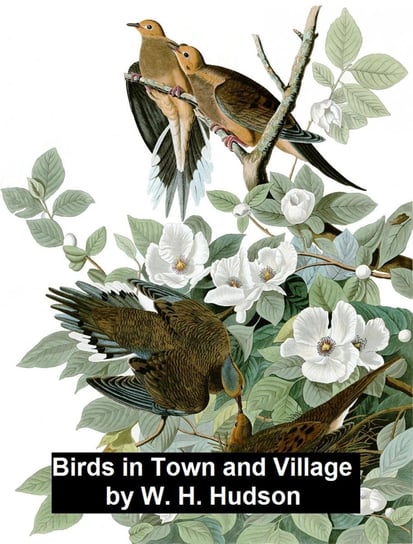 Birds in Town and Village Hudson William Henry