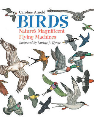 Birds: Nature's Magnificent Flying Machines Arnold Caroline