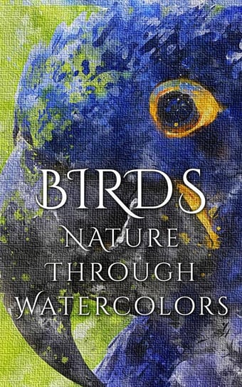 Birds - Nature through Watercolors Martina Daniyal