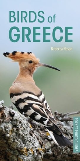 Birds of Greece Rebecca Nason