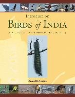 Birds of India Anand
