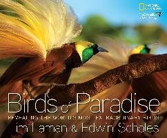 Birds of Paradise Laman Tim