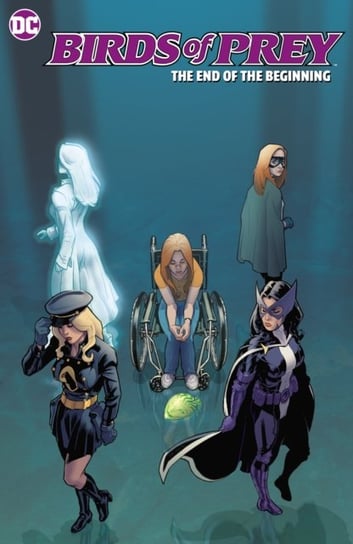 Birds of Prey: The End of the Beginning Sean McKeever