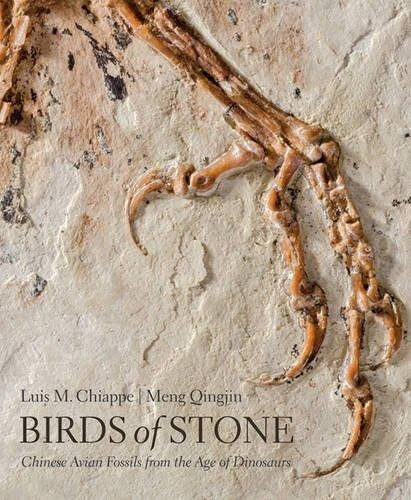 Birds of Stone Chiappe Luis M., Qingjin Meng