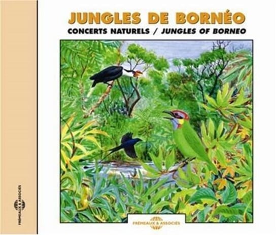 Birds Of The Jungles Of Borneo Birdsong