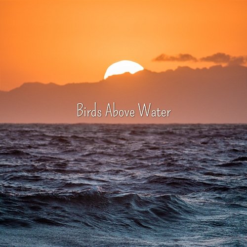 Birds Singing Birds Above Water