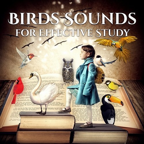 Birds Sounds for Effective Study: Total Focus, Better Concentration Healing Nature Music, Exam Learning & Reading Spiritual Music Collection