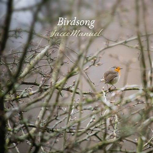 Birdsong Jacco Manuel