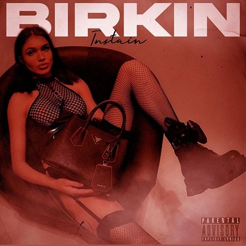 Birkin InstaIN