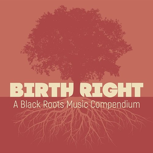 Birthright: A Black Roots Music Compendium Various Artists