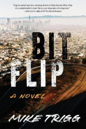 Bit Flip. A Novel Sparkpress