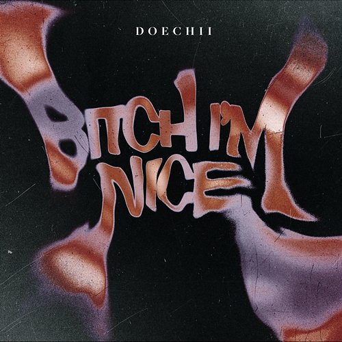 Bitch I'm Nice Doechii