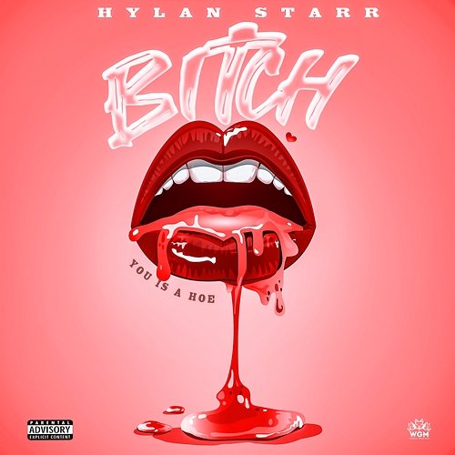 Bitch You Is A Hoe Hylan Starr