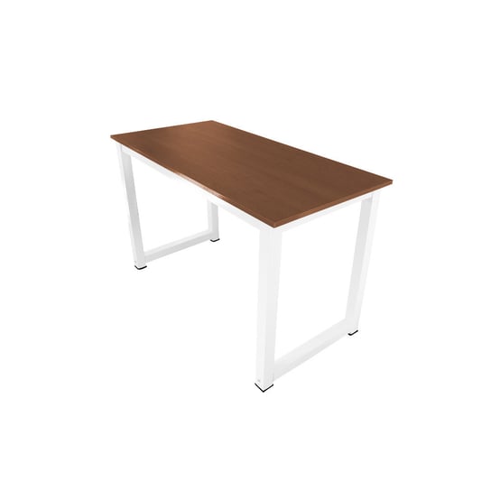 Biurko komputerowe biurowe na stalowych nogach minimalistyczne do biura pokoju BITUXX®