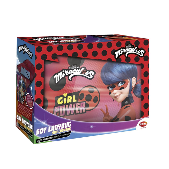 Bizak Cojín Misterioso Miraculous Ladybug – Set De 4 Piezas Con Cuaderno Secreto, Tinta Invisible Y Linterna, Cojín Suave Con Cierre Para Guardar Tesoros