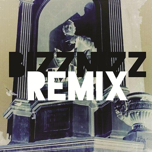 Bizznizz (Remixes) Som Fan