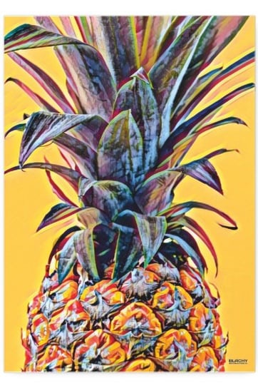 Blacha dekoracyjna BD POSTER ananas, 42x30 cm BD Poster