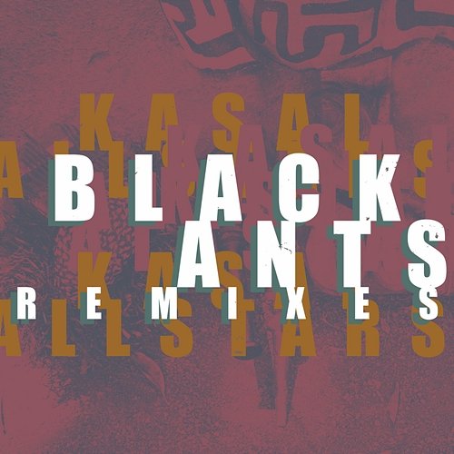 Black Ants Remixes Kasai Allstars